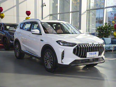 2024�� �ھ��� 1.5T DCT�ھ�MAX 7��