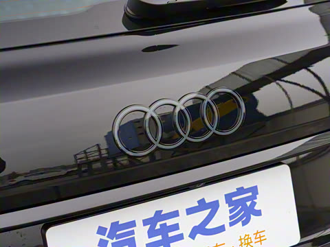 2025�� 55 TFSI quattro S line��ѩ�˶���