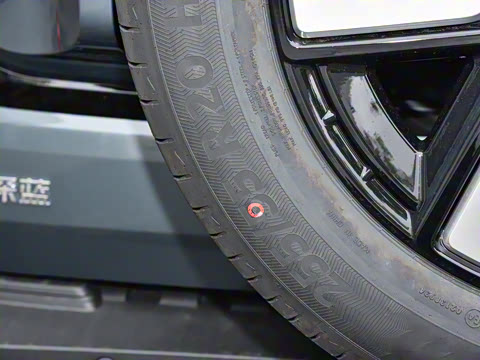 2024�� ����������