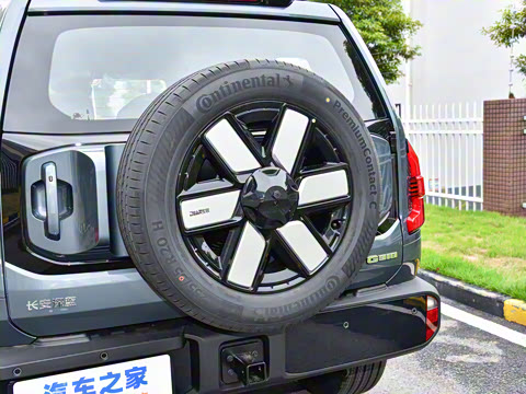 2024�� ����������