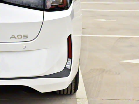 2024�� ����� 145 ������