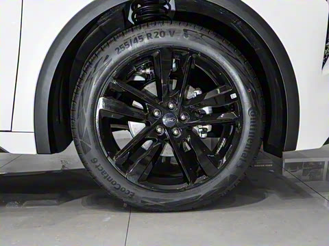 2025�� 2.0T EcoBoost E �춯 �˶���