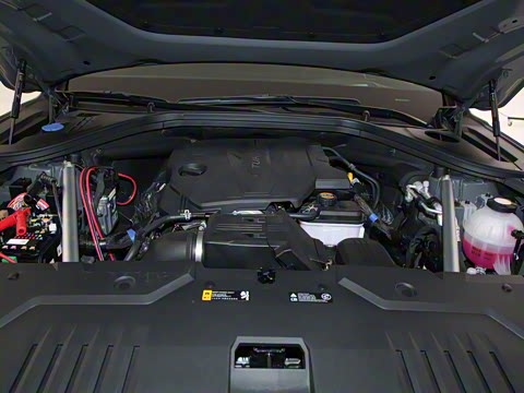 2025�� 2.5T �����콢��