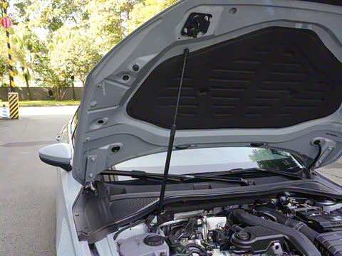 2025�� A3L Limousine 35TFSI �ɳ�������