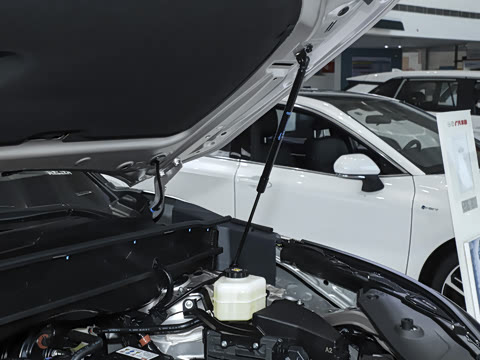 2024�� 380T �������� 7��