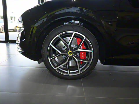 2025�� 600 ���а�