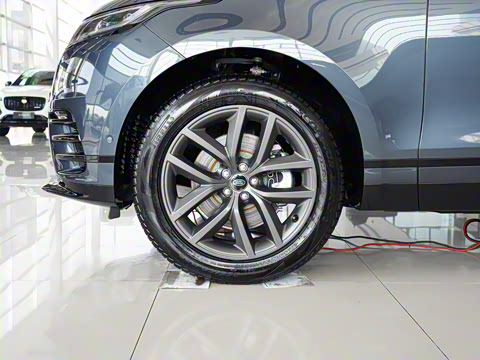 2025�� Dynamic SE