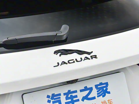 2025�� P250 R-Dynamic SE