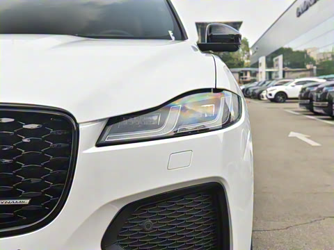 2025�� P250 R-Dynamic SE