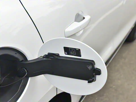 2025�� P250 R-Dynamic SE