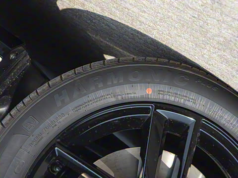 2025�� 520������