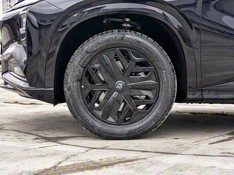 2025�� 605 Max������