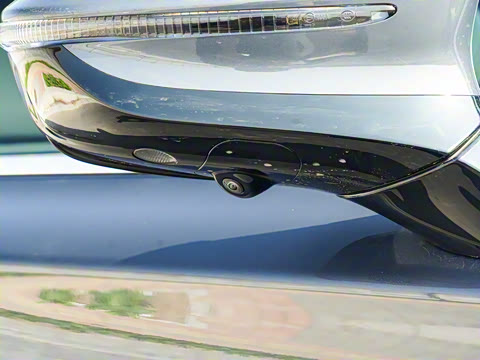 2025�� DM-i 115KM ������