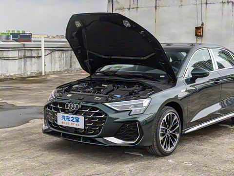 2026�� A3L Limousine 35TFSI �ɳ������� +������ѡ��