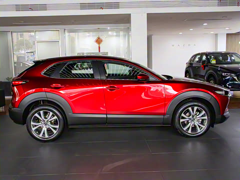 2024�� 2.0L �Զ�������