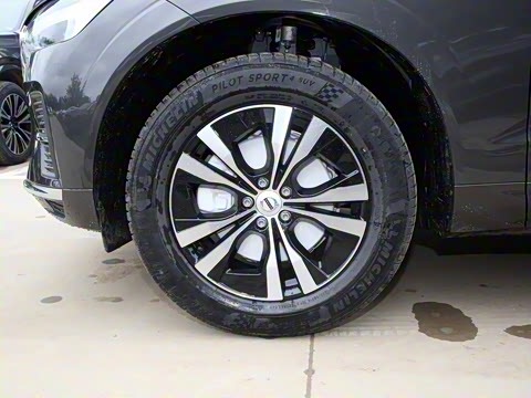 2025�� B5 �������ݺ�����