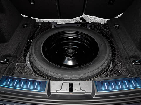 2024�� ��ʤ����L SE Ԧ����ҫ��