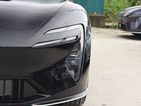 2025�� Max�����