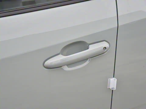 2024�� 2.0L CVT��������Plus��