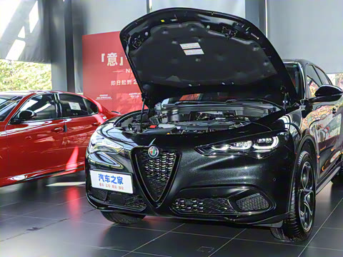 2024�� 2.0T 280HP Dragon Edition �����޶���