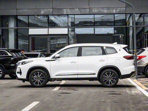 2024�� �ھ��� 290T �����۷�� 7��