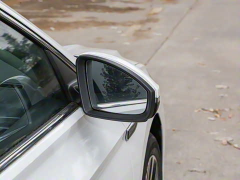 2025�� 300TSI DSG��Խ��