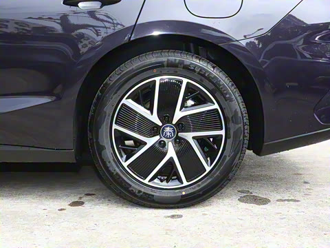 2024�� DM-i 120KM��Խ��