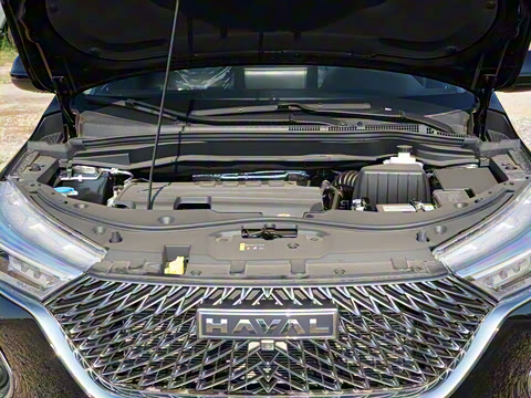 2023�� PLUS 1.5T DCT��Ӣ������