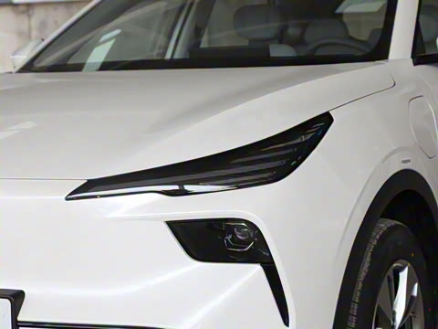 2025�� 445km ���ð�