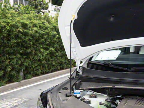 2025�� Ǭ��ϵ�� Max ������