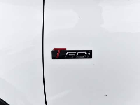 2024�� ������ 290TGDI �Զ����+�� 5��