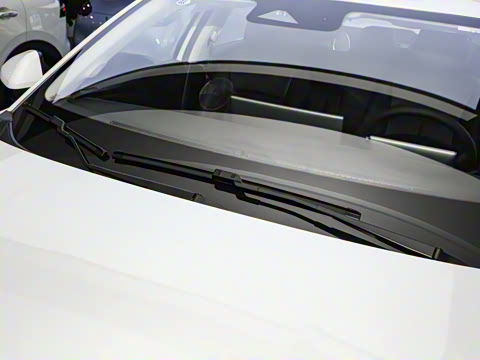 2024�� ������ 150 �캽��