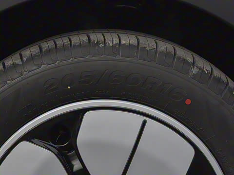 2025�� 310km �ഺ��