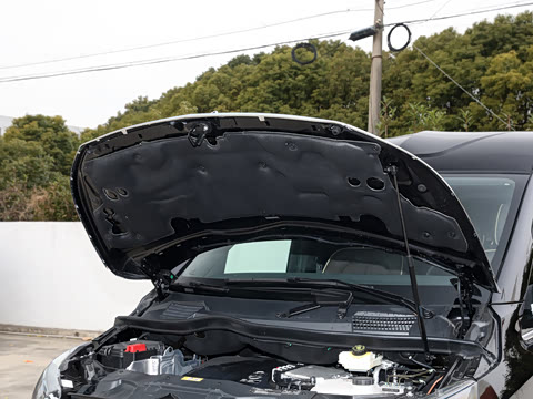 2025�� 2.0T ��άʿ����̩