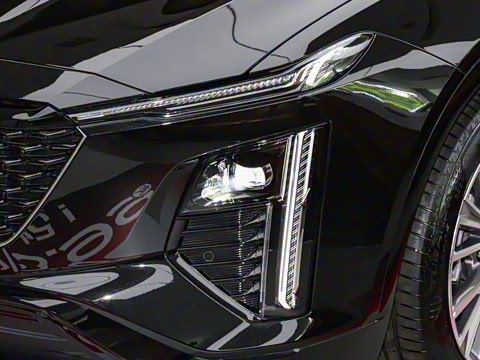 2023�� 25T �����