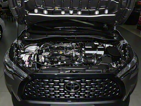 2024�� 2.0L ������