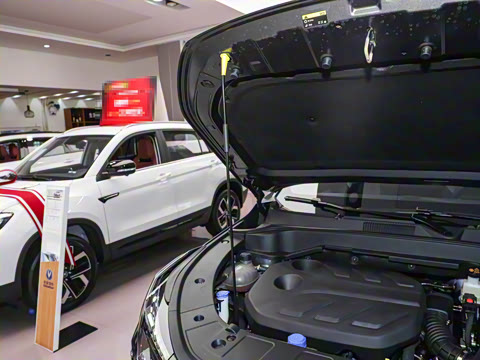 2025�� 1.5T ������