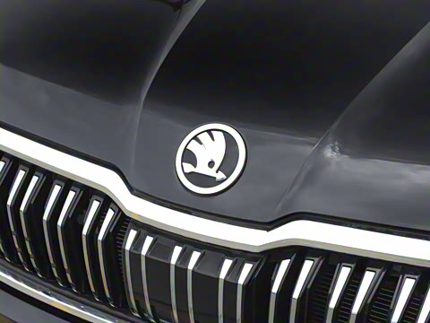 2025�� TSI380 7�������콢��