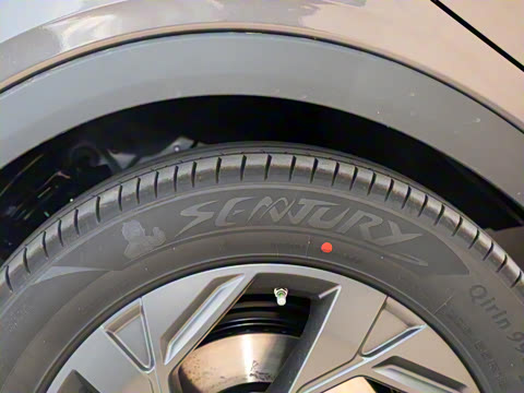 2025�� Ӱ�� 270T ������ ƽ������