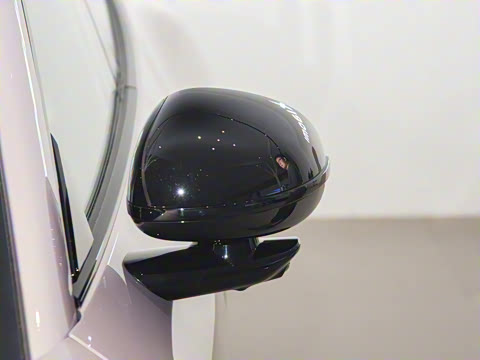 2025�� ��������������