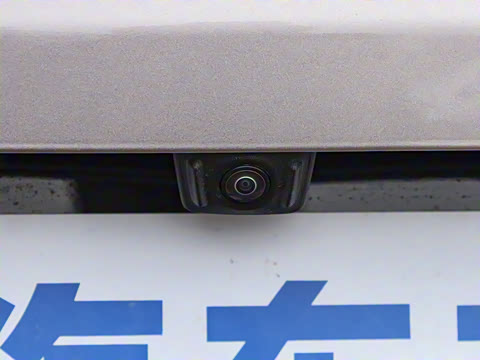 2025�� ���� ����� 230 ������