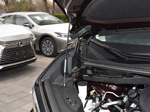 2023�� 500h ��������