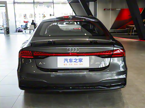 2025�� 45 TFSI ��ѡ��