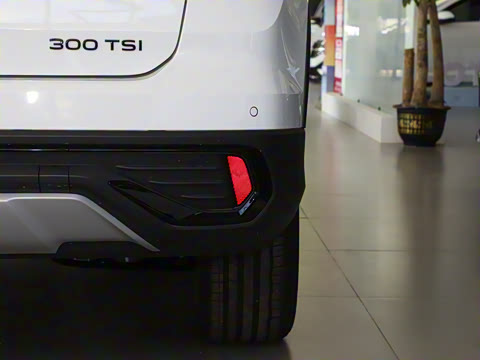 2024�� 300TSI ���������