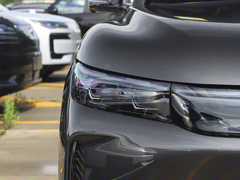 2025�� FREE+ ����Ǭ����