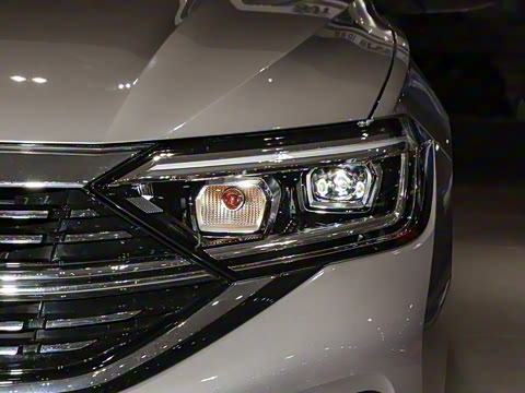 2025�� 300TSI DSG��Խ��