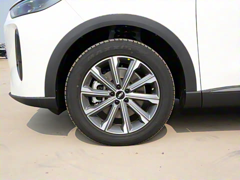 2024�� 120 �������������� 5�� �������