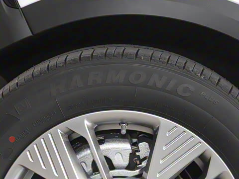 2025�� 565km ������