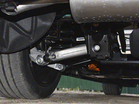 2025�� ���� ����� 230 ����