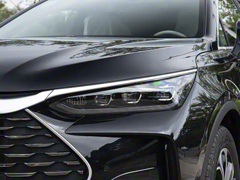 2025�� DM-i 115KM �콢��